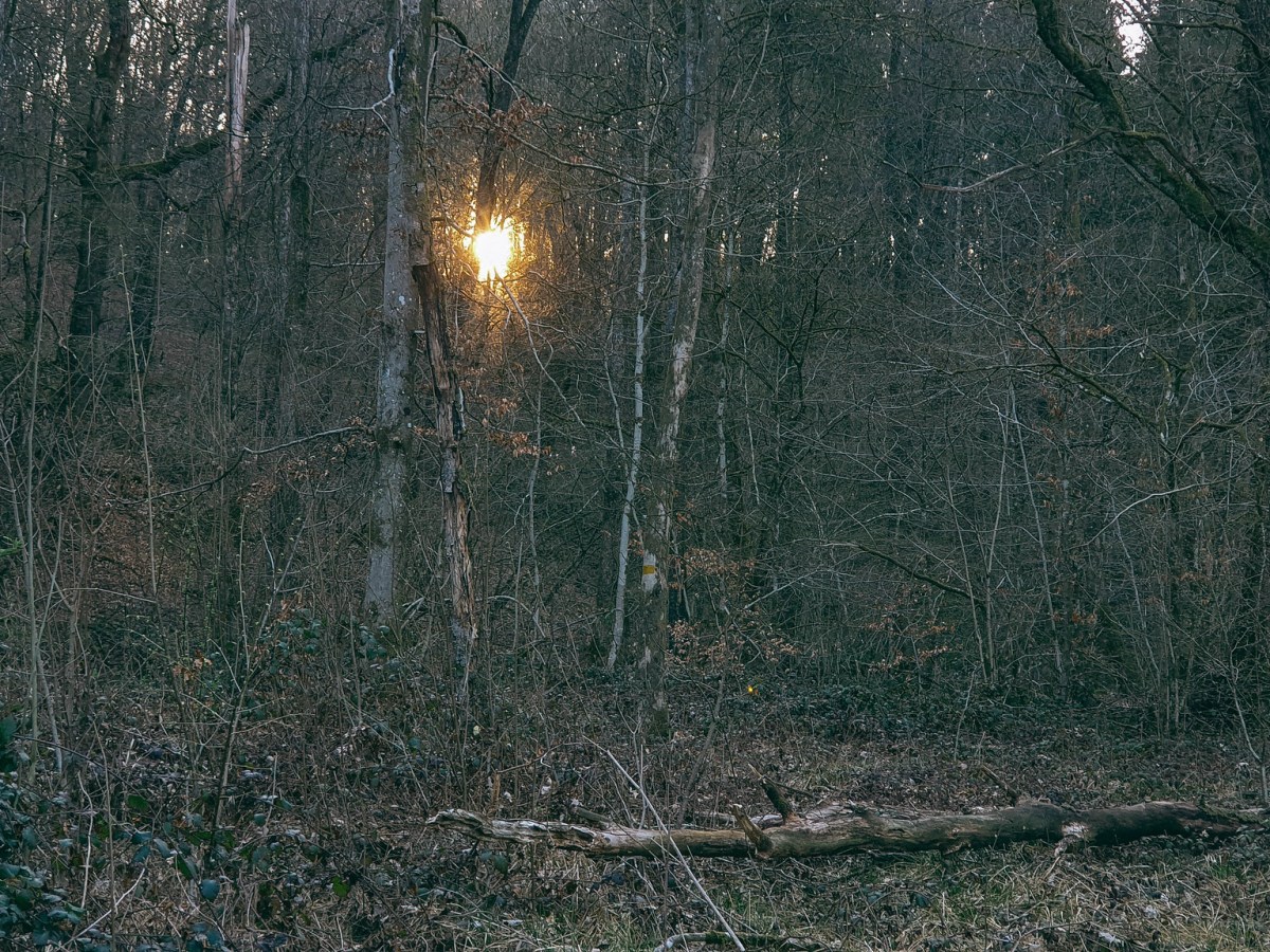 GR16 | Bellefontaine – Barrage Vierre |&nbsp;23.04.21